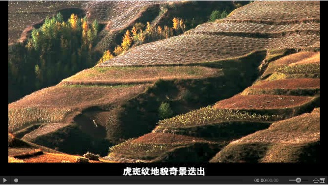 雨燕直播足球比赛